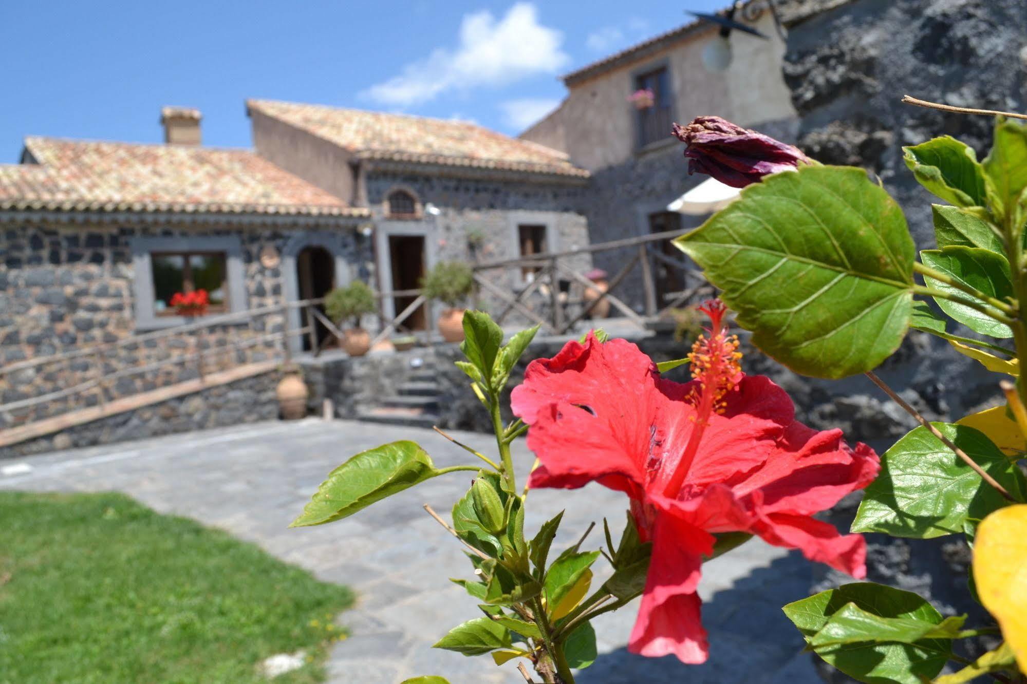 Bosco Ciancio Guest House Biancavilla Exterior photo